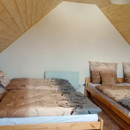 Apartament Rychlebska Pohoda Černá Voda